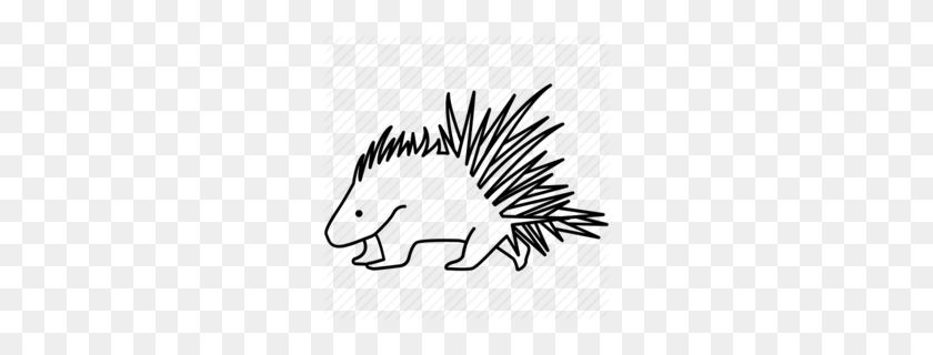 260x260 Download Cape Porcupine Outline Clipart Hedgehog Rodent Porcupine - Hog Clipart Black And White