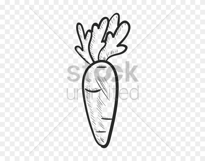 600x600 Download Carrot Clipart Line Art Drawing Clip Art Clipart Free - Carrot Clipart PNG