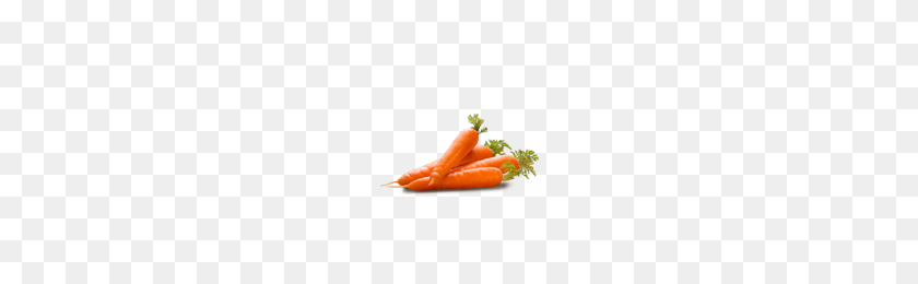 200x200 Морковь Png Фото Изображения И Клипарт Freepngimg - Морковь Png