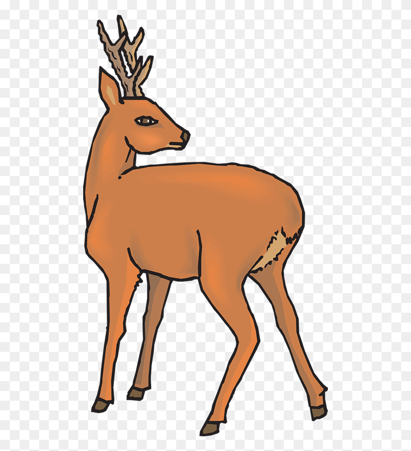 500x863 Download Cartoon Back Of Deer Clipart Reindeer Clip Art Deer - Deer Hunting Clipart