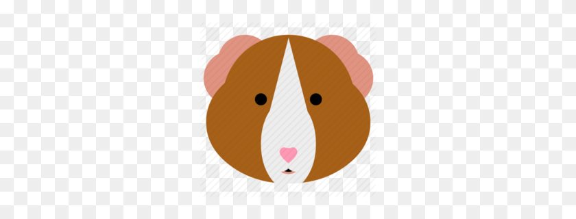 260x260 Download Cartoon Guinea Pig Head Clipart Guinea Pig Clip Art Pig - Capybara Clipart