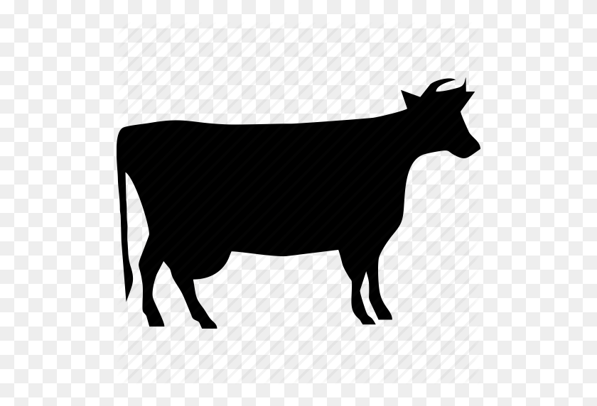 512x512 Download Cattle Vaccination Icon Clipart Beef Cattle Injection - Beef Cow Clipart