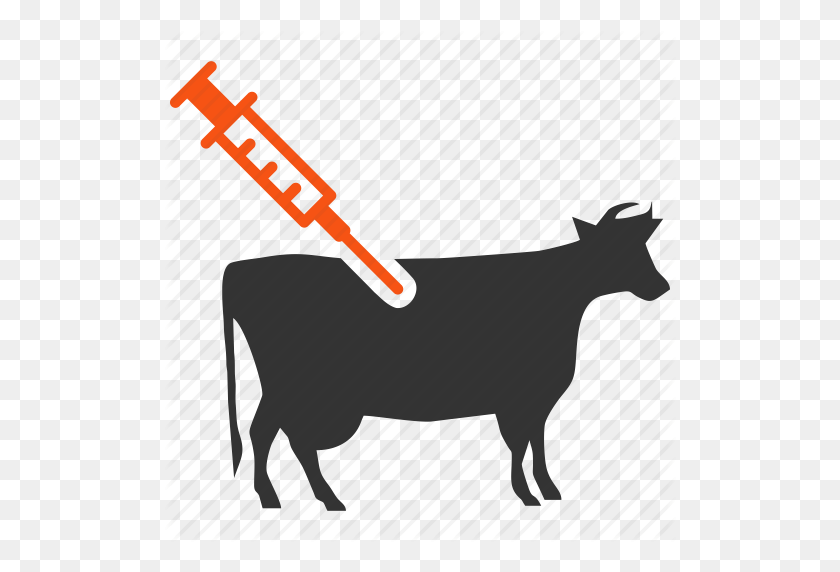 512x512 Download Cattle Vaccination Icon Clipart Beef Cattle Livestock - Beef Cow Clipart