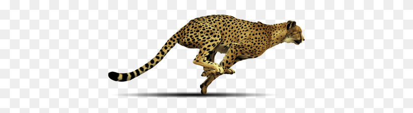 400x170 Download Cheetah Free Png Transparent Image And Clipart - Cheetah Print PNG