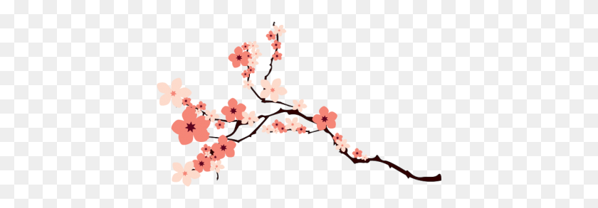 400x233 Download Cherry Blossom Free Png Transparent Image And Clipart - Cherry Blossom Petals PNG