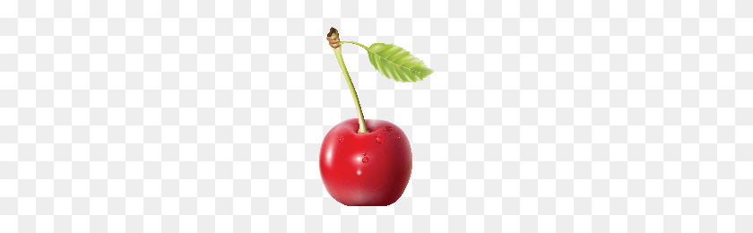 200x200 Download Cherry Free Png Photo Images And Clipart Freepngimg - Cherries PNG