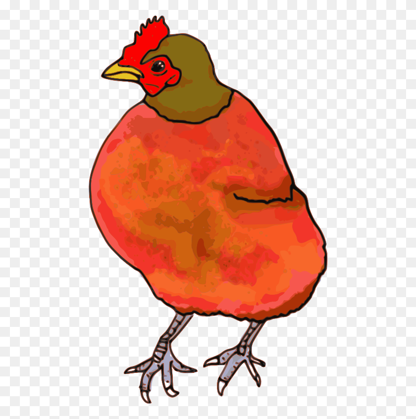 484x786 Download Chicken Clip Art Free Clipart Of Cute Baby Chicks, Hens - Free Rooster Clipart