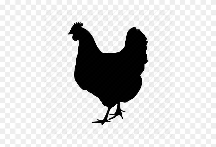 512x512 Скачать Курицу Значок Клипарт Курица Как Еда Картинки Курица - Бесплатный Клипарт Курица