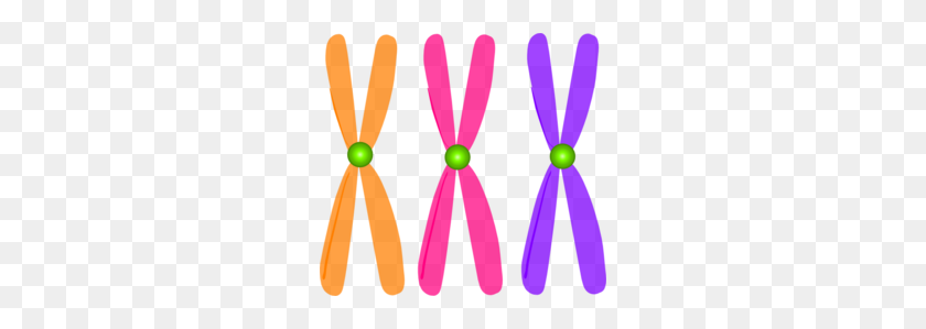 260x239 Download Clip Art Chromosomes Png Clipart Biology Clipart - C Clipart