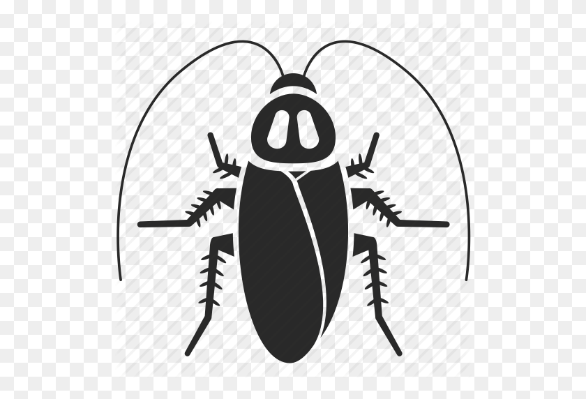 512x512 Descargar Icono De Cucaracha Png Clipart Control De Plagas De Cucarachas - Beetle Clipart En Blanco Y Negro