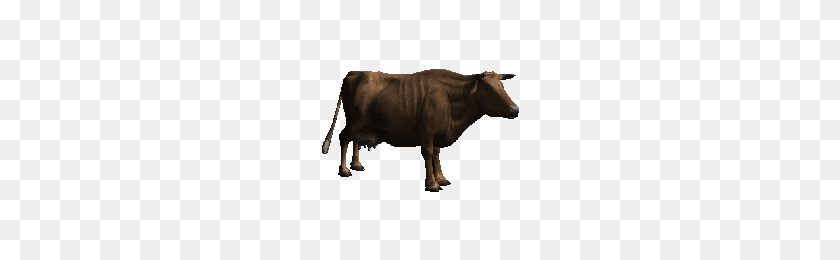 200x200 Download Cow Free Png Photo Images And Clipart Freepngimg - Cows PNG
