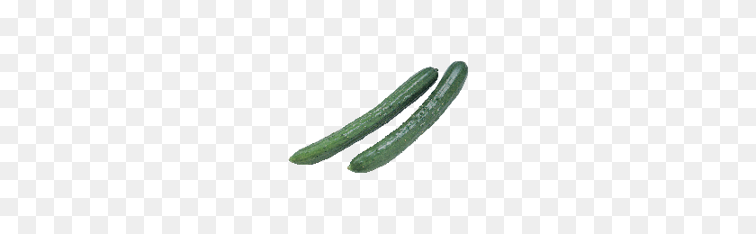 200x200 Download Cucumber Free Png Photo Images And Clipart Freepngimg - Cucumber PNG