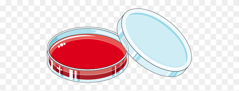 509x262 Download De Png Clipart Plastic Petri Dishes Clip Art - Dishes Clipart