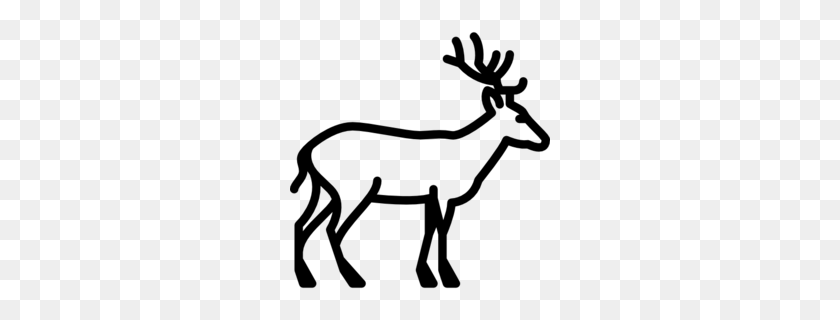 260x260 Download Deer Icon Black And White Clipart Deer Computer Icons - Reindeer Black And White Clipart