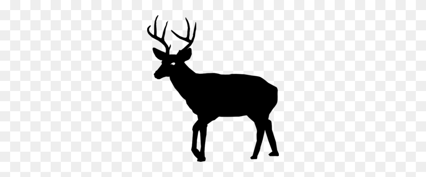 260x290 Download Deer Silhouette Clip Art Png Clipart White Tailed Deer - Deer Silhouette PNG