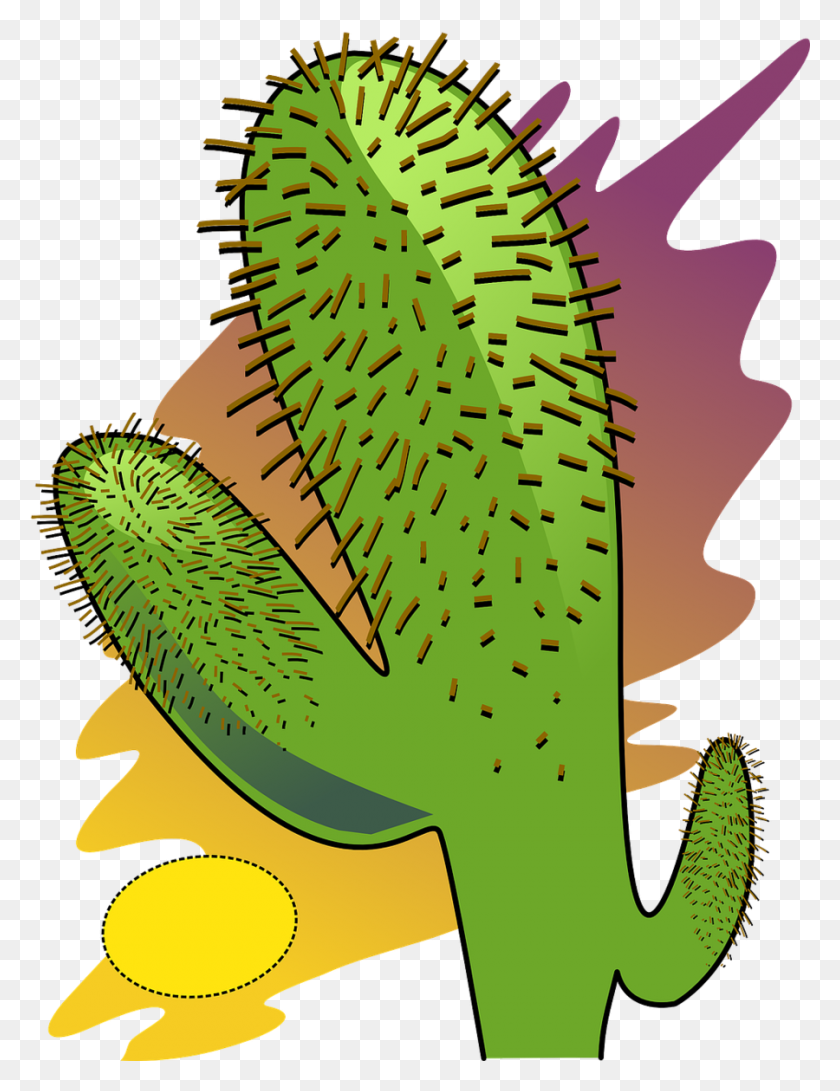 900x1190 Download Desert Plant Clipart Desert Plants Clip Art Cactus - Saguaro Cactus Clip Art