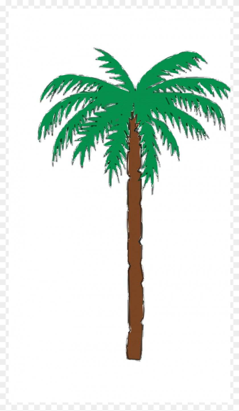 900x1595 Download Desert Trees Clipart Palm Trees Clip Art Tree, Leaf - Plant Stem Clipart