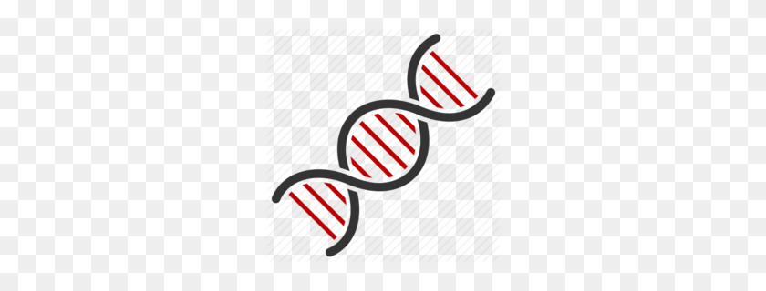 260x260 Download Dna Desenho Para Colorir Clipart The Double Helix - Discovery Clipart