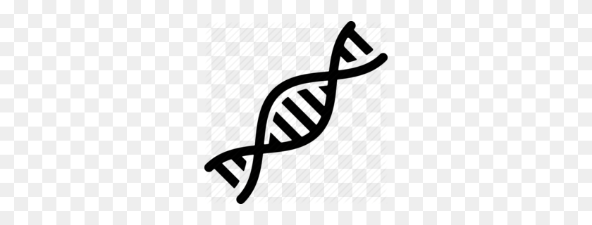 260x260 Download Dna Icon Free Clipart Dna Computer Icons Dna Clipart - Steph Curry Clipart