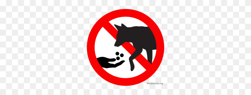 260x260 Download Do Not Feed Dog Clipart Coyote Cachorro De Pastor Alemán - Clipart De Pastor Alemán Blanco Y Negro