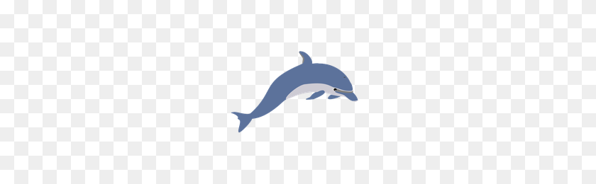 200x200 Скачать Дельфин Png Фото Изображения И Клипарт Freepngimg - Дельфин Png