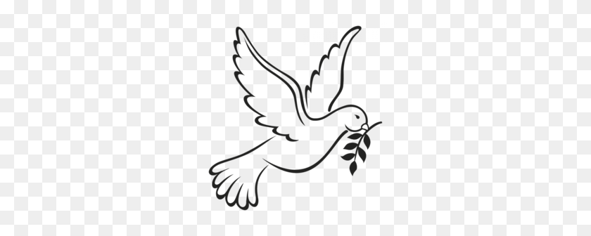 260x276 Download Dove Symbol Of Peace Clipart Pigeons And Doves Doves As - Pigeon Clipart Black And White