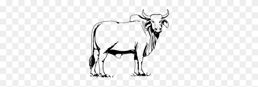 260x223 Скачать Рисунок Индийской Коровы Клипарт Брахман Крупного Рогатого Скота Голштинская - Корова Теленок Клипарт
