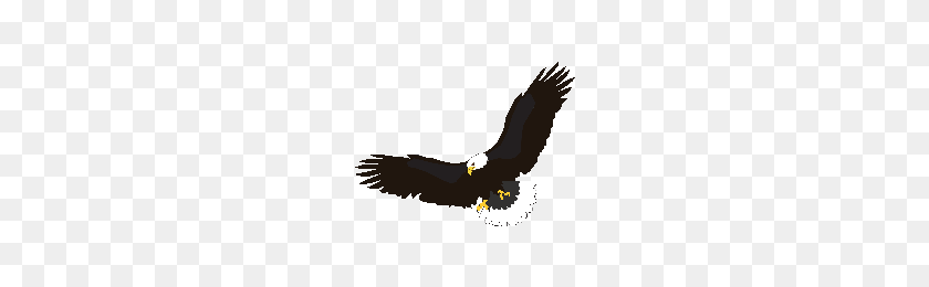 200x200 Descargar Eagle Gratis Png Photo Images And Clipart Freepngimg - Soaring Eagle Clipart