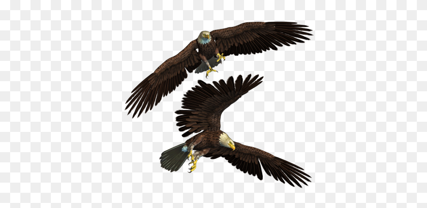 400x350 Download Eagle Free Png Transparent Image And Clipart - Bald Eagle PNG