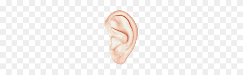 200x200 Download Ear Free Png Photo Images And Clipart Freepngimg - Ear PNG