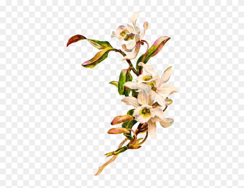 400x587 Download Easter Flower Free Png Transparent Image And Clipart - Easter Lily PNG