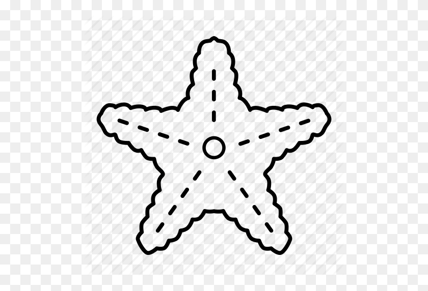 512x512 Скачать Estrella De Mar Para Colorear Клипарт Морская Звезда Раскраска - Морская Звезда Картинки Картинки