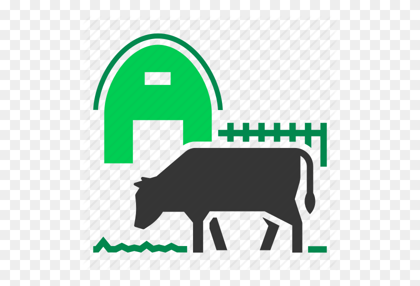 512x512 Download Farmer Cow Icon Png Clipart Angus Cattle Beef Cattle Baka - Beef Cow Clipart