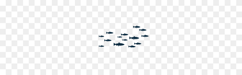 200x200 Download Fish Free Png Photo Images And Clipart Freepngimg - School Of Fish PNG