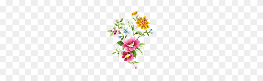 200x200 Download Flower Free Png Photo Images And Clipart Freepngimg - Wild Flowers PNG