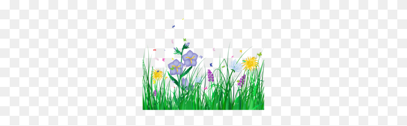 260x201 Download Flowers Transparent Background Clipart Flower Clip Art - Background Clipart