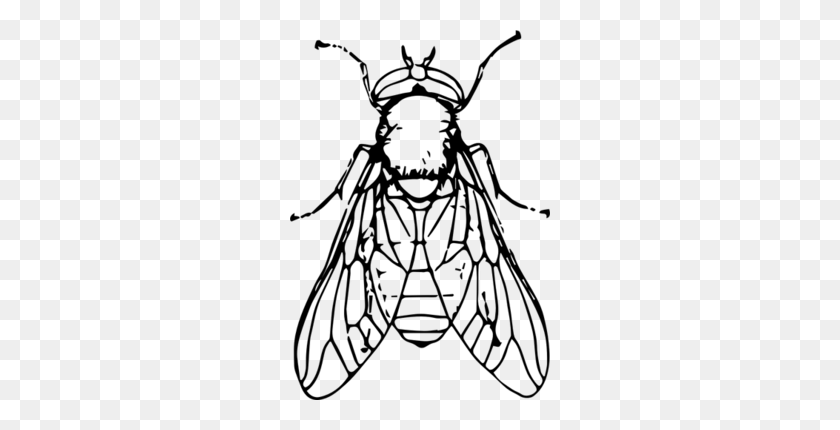 260x370 Download Fly Images Black And White Clipart Insect Clip Art - Mosquito Clipart Free