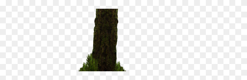400x215 Download Forest Free Png Transparent Image And Clipart - The Forest PNG