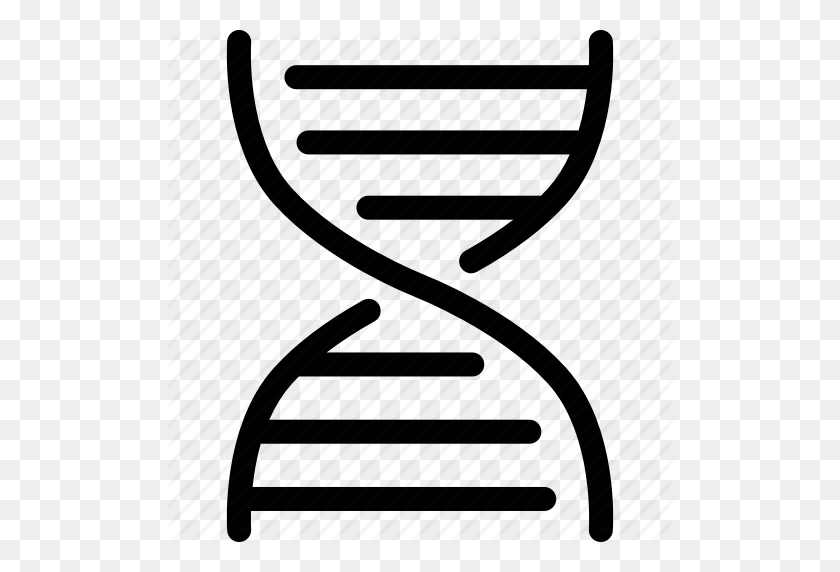 512x512 Download Genome Sequence Icon Clipart Dna Computer Icons Clip Art - Dna Clipart Free