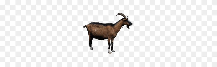 200x200 Download Goat Free Png Photo Images And Clipart Freepngimg - Goat Emoji PNG