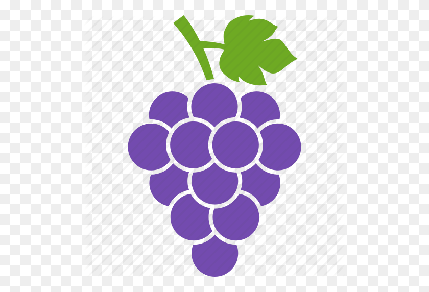 512x512 Download Grape Vine Icon Clipart Common Grape Vine Wine Wine - Grape Vine PNG