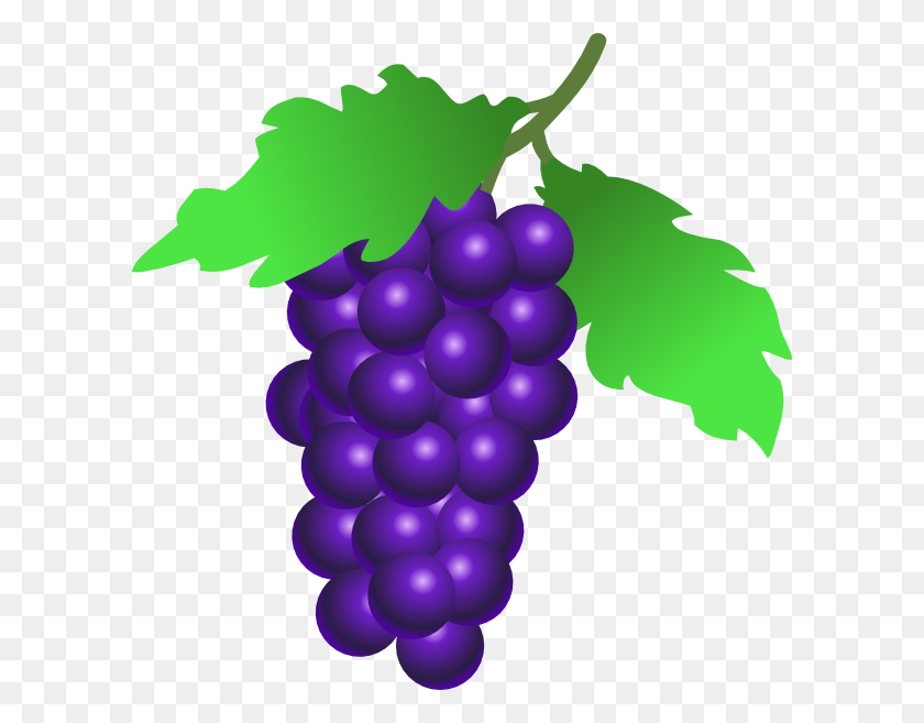 600x597 Download Grapes Vine Clipart - Grape Vine PNG