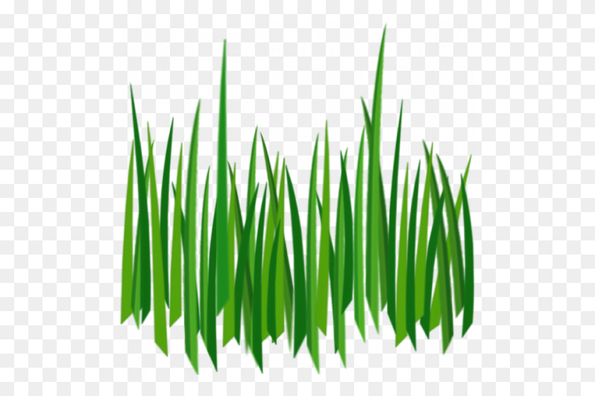 500x500 Download Grass Texture Clipart Lawn Clip Art Garden, Grass - Lawn Clipart