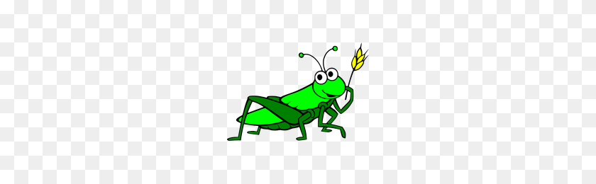 200x200 Download Grasshopper Free Png Photo Images And Clipart Freepngimg - Grasshopper PNG