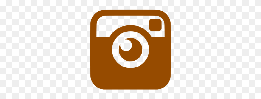 260x260 Download Gray Instagram Icon Clipart Social Media Computer Icons - Multicultural Clipart