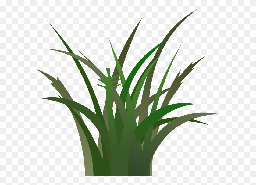 600x547 Download Green Grass Clipart - Grass PNG