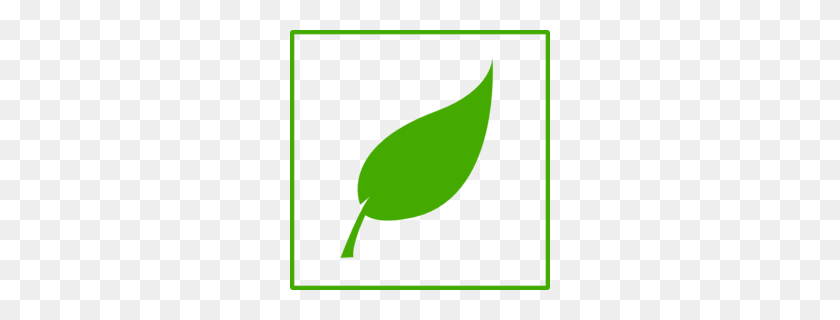 260x260 Descargar Green Leaf Eco Clipart Clipart - Gracias Clipart