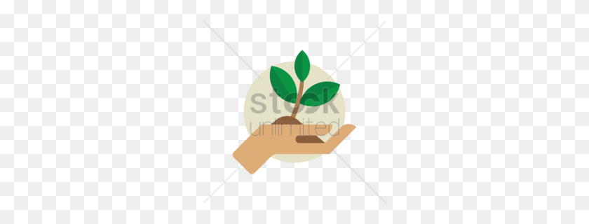 260x260 Download Hands Holding Plant Clipart Plants Clip Art - Tobacco Plant Clipart