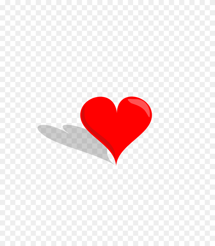 637x900 Скачать Сердце Клипарт - Человеческое Сердце Png