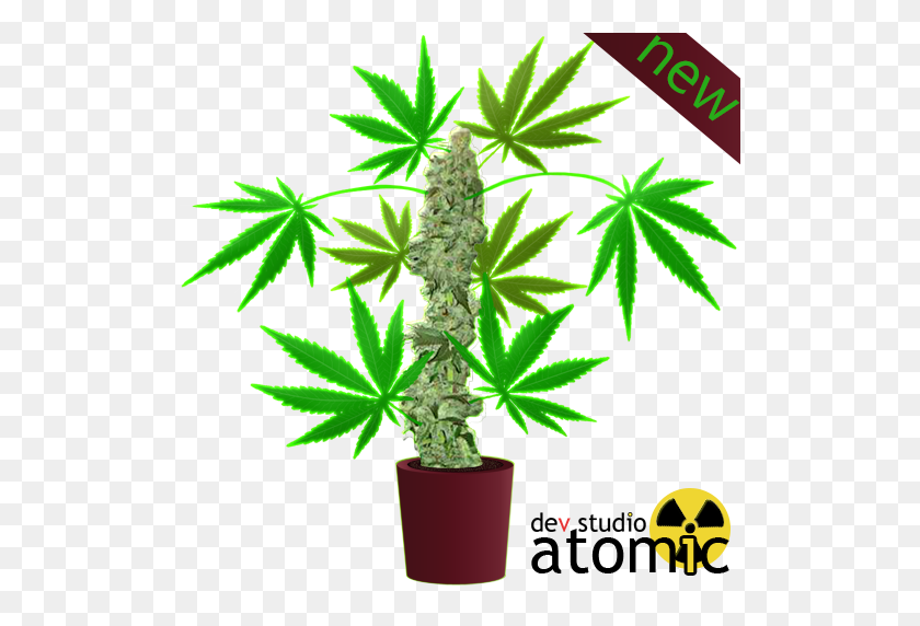 512x512 Download Hemp Clipart Cannabis Tree Plant, Tree, Graphics - Marijuana Plant PNG